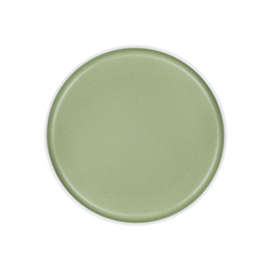Brunner Dinner Plate Dolomite Melamine Green 25cm
