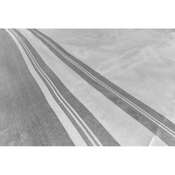 Wykładzina do przedsionka/namiotu Brunner Trip 2,5 x 5 m